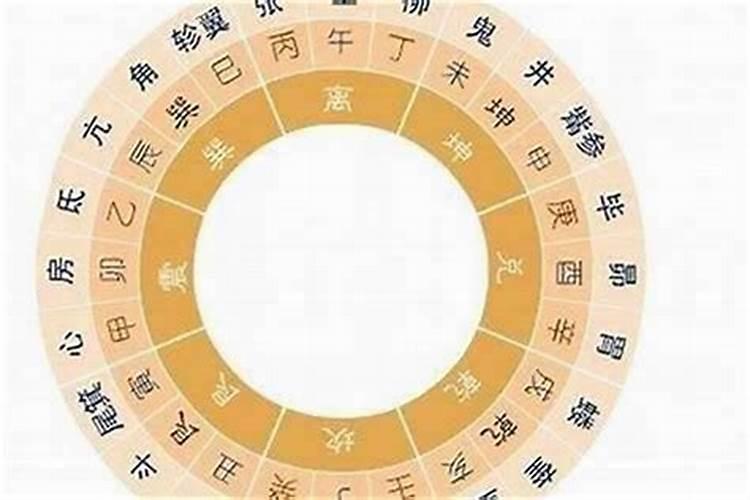 龙女与属相的奇妙缘分