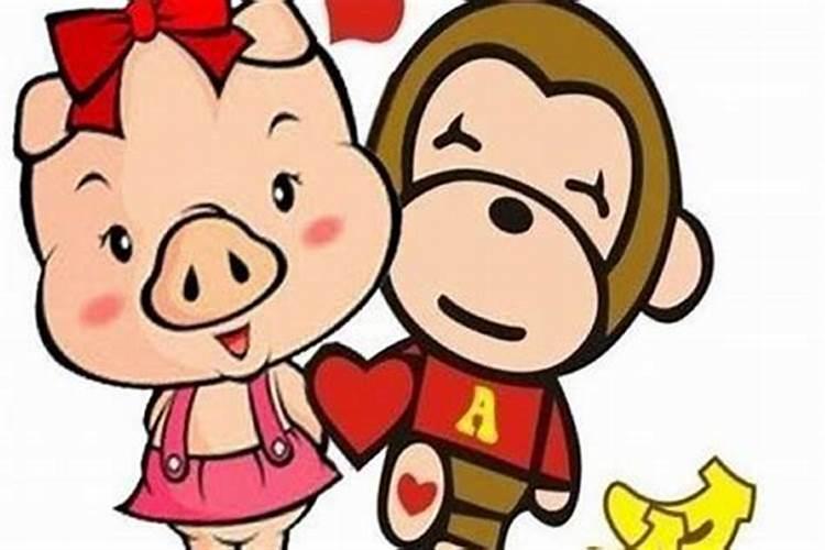属猴的属猪合婚吗？
