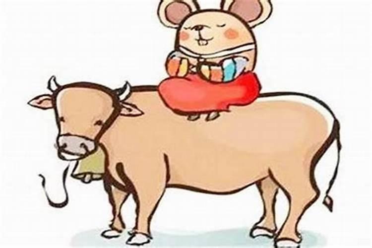 男属牛和女兔鼠合婚吗？