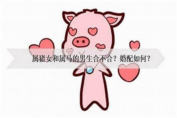 女生猪婚配属相什么男生好？