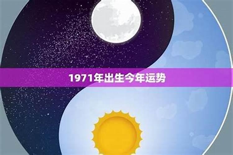属马之人的财富航向：今年财运深度解析
