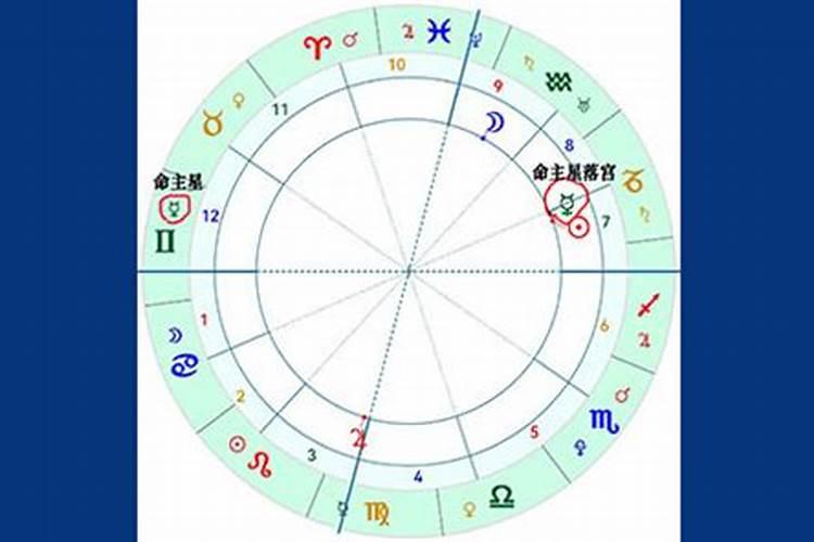 命宫主星怎么看？