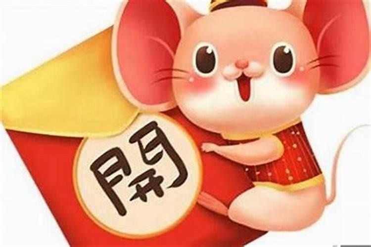 属鼠人养猫会影响财运吗？