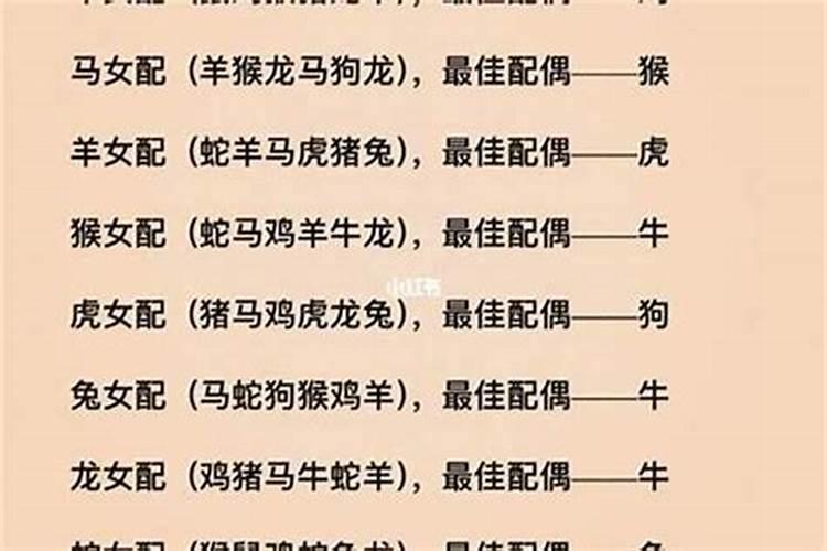 同为鼠年生，婚姻良缘定？——探索属相与婚配的奥秘