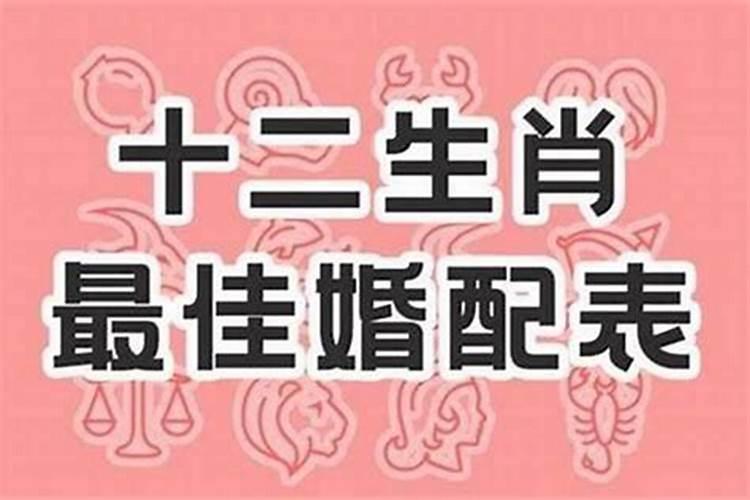虎牛属相的婚配的方法吗？