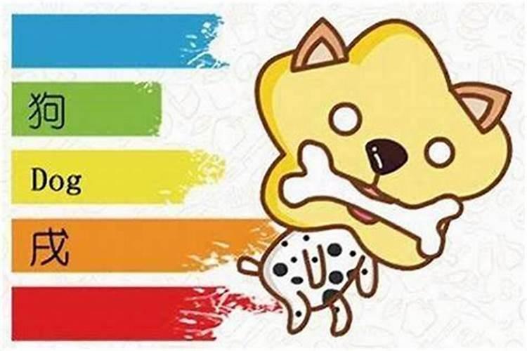 家养猫狗，什么属相最适合？