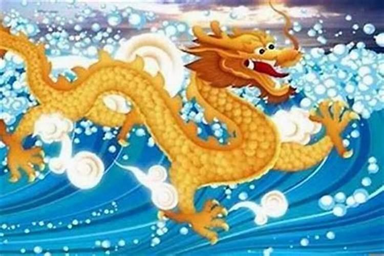 属龙的在今年的运程怎么样？