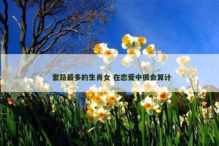 套路最多的生肖女？