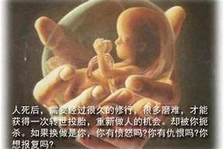 怎样为堕胎的婴儿超度？