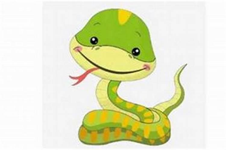 梦境解析：梦到很多大蛇预示着什么？