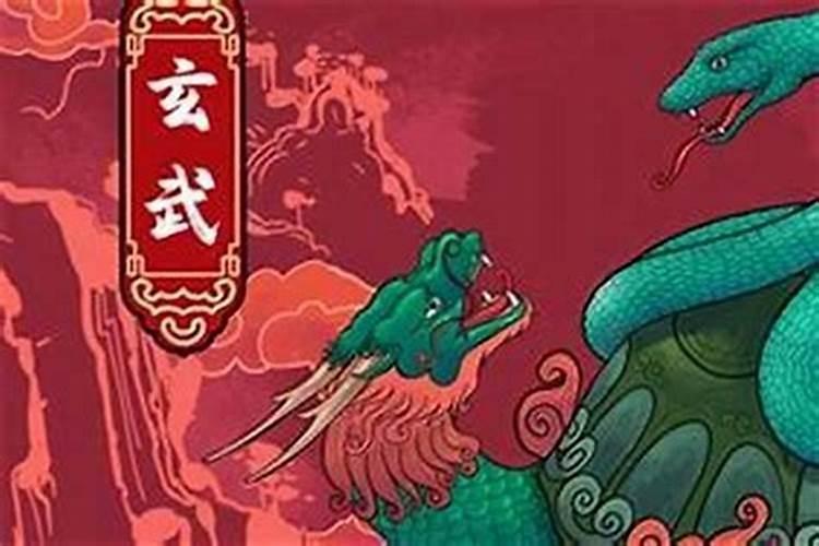 穿越时空的缘分：1977年属蛇与属猪的天作之合