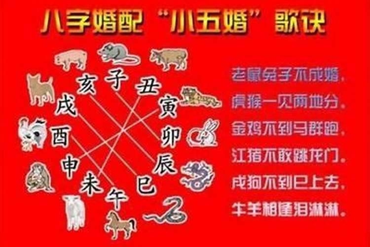 属羊的和属马的合婚吗？