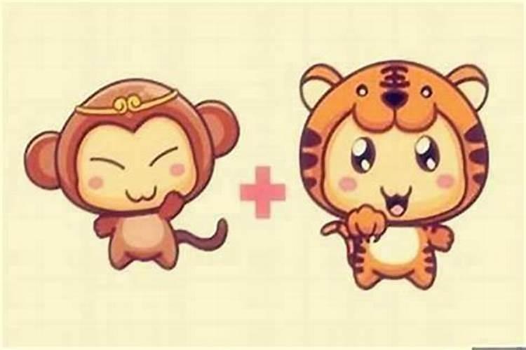 男属猴女属虎合婚吗？