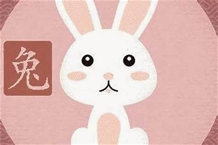 属狗与属兔的合婚吗？