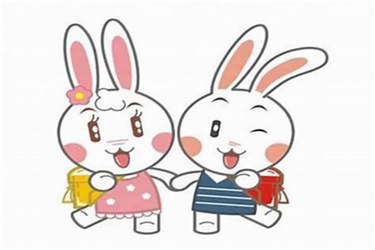 月下独行的谜团：女兔与属相的禁忌之舞？