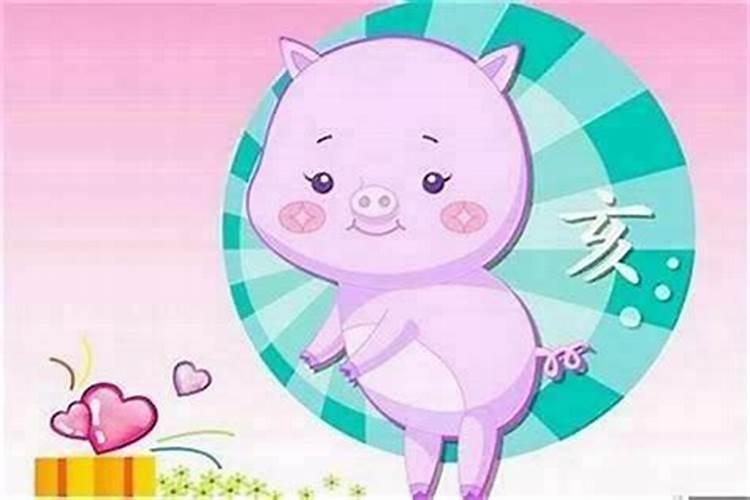 属猪的和什么属相最合适：探索十二生肖的完美搭档？