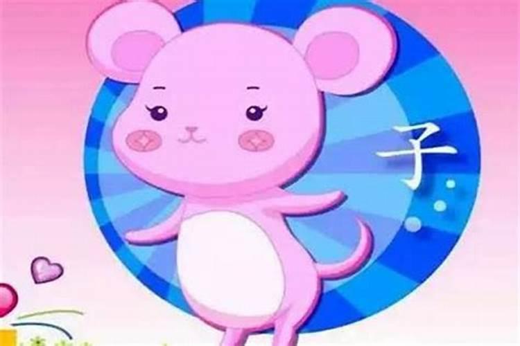 女狗和男鼠八字合吗？