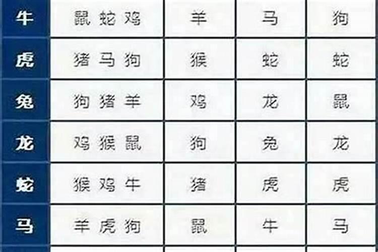 属相婚配猪与龙合吗？