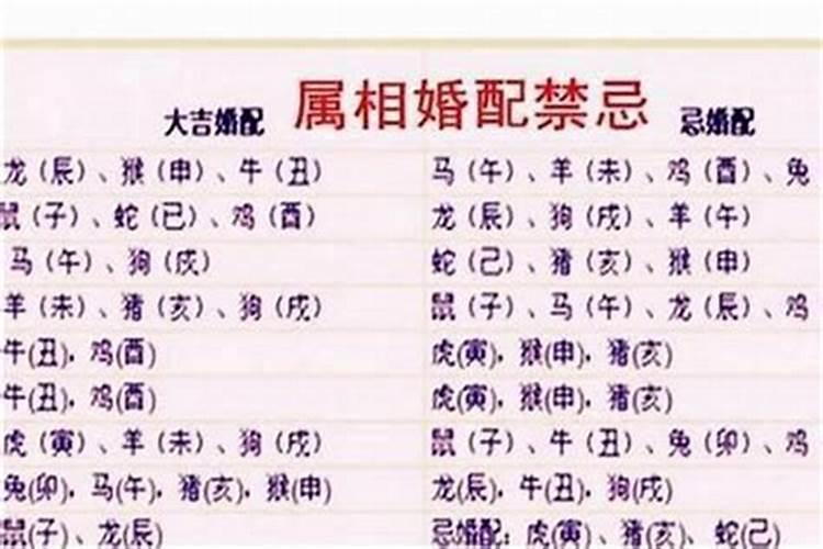 不宜婚配的属相是哪些？