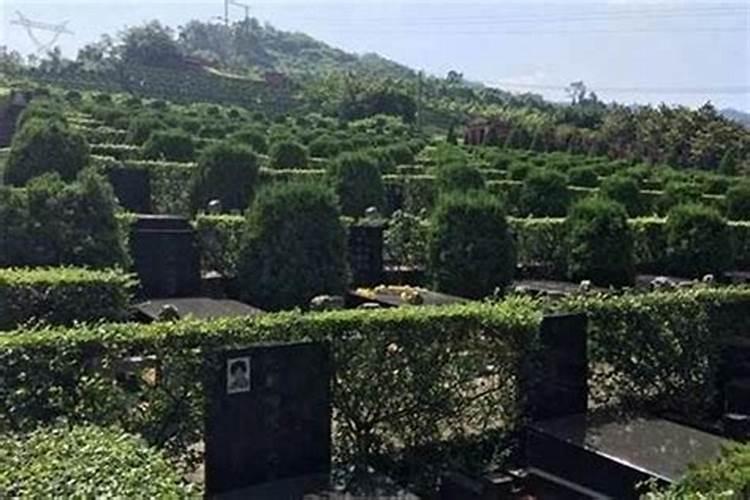 风水之秘：子孙后代的福泽与命运