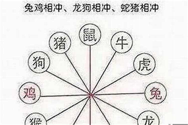鼠本命年属相相冲怎么办？