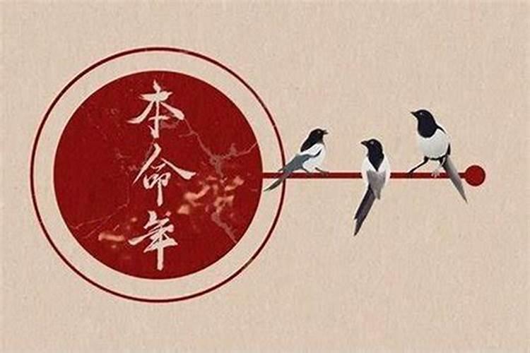 2024本命年财运好么？