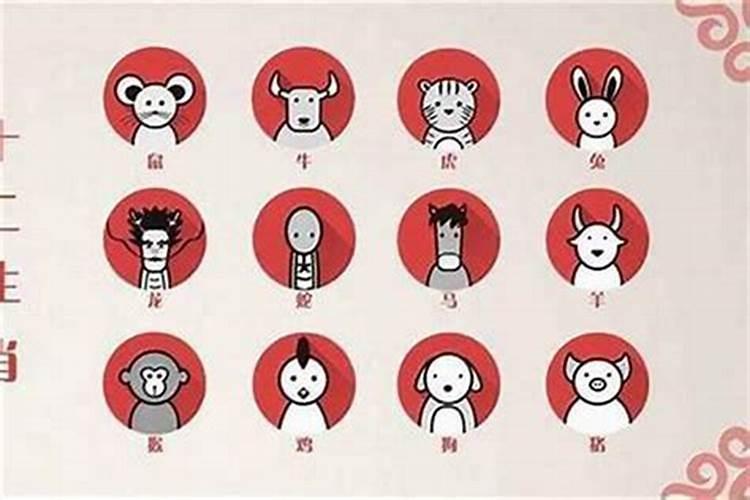 12生属将军是什么生肖？
