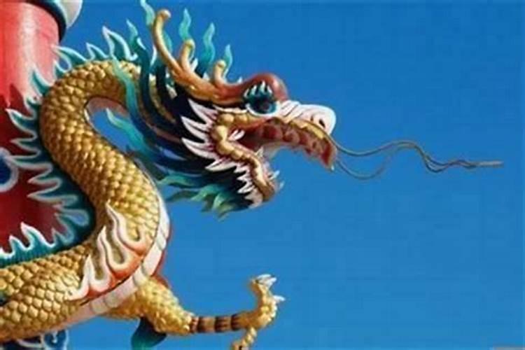 属龙的和属鼠合婚吗？