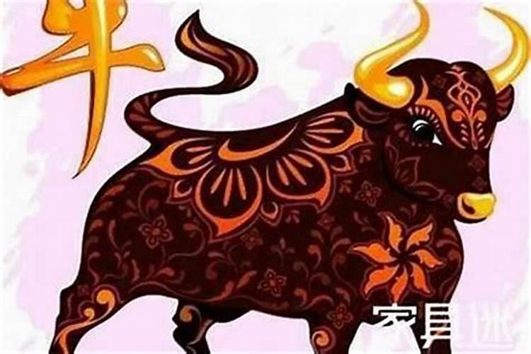 属牛农历的几月出生最好？