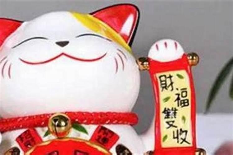 什么生肖不能摆招财猫？