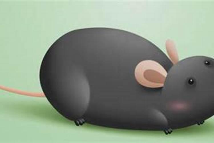 梦见好几只老鼠在床上：解析梦境背后的心理奥秘？
