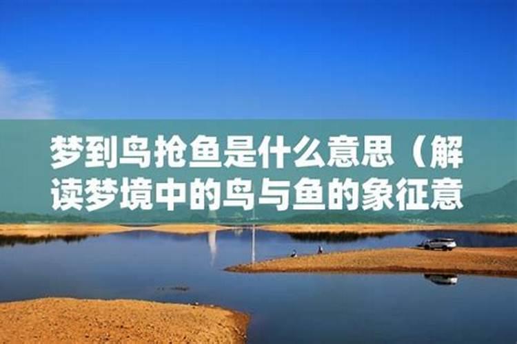 解读梦境：梦见会说话的鸟的意义与象征