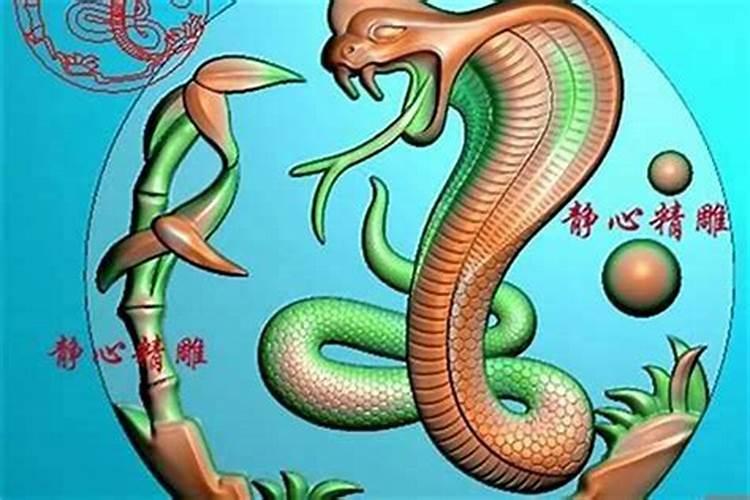 属蛇最佳婚配属相什么命？