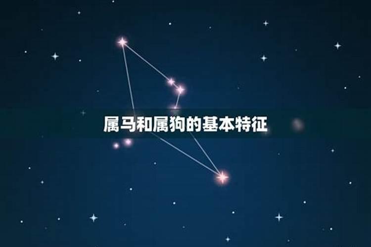 属马人子女缘：命里注定还是事在人为？