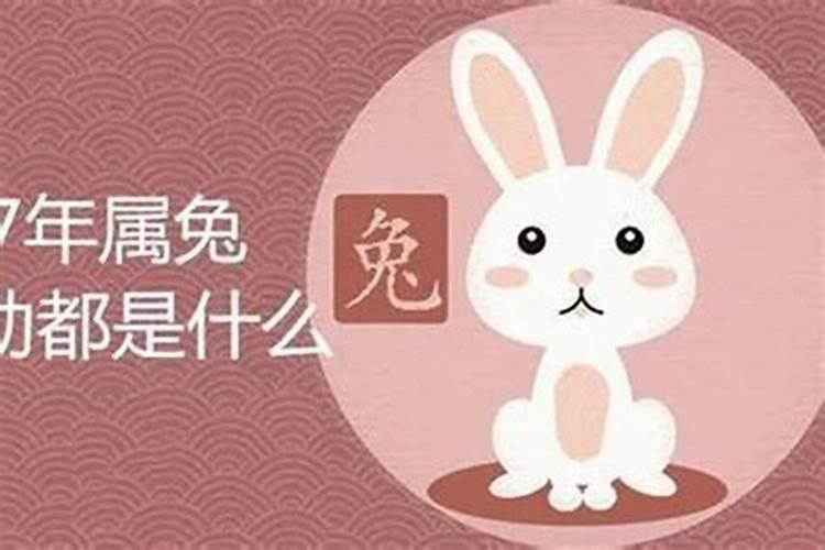 1987年属兔命中有三喜吗？