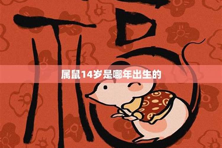 揭秘生肖鼠的天作之合：谁才是你的命中注定？