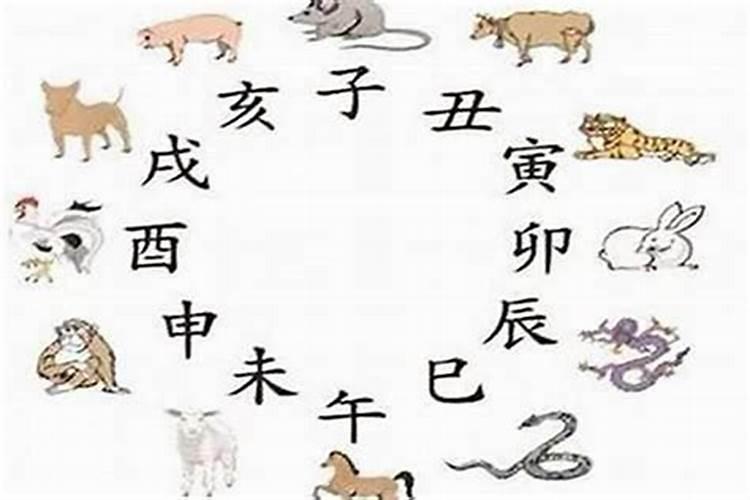 蛇缘良配：揭秘生肖蛇与哪些属相的婚姻契合度最高？