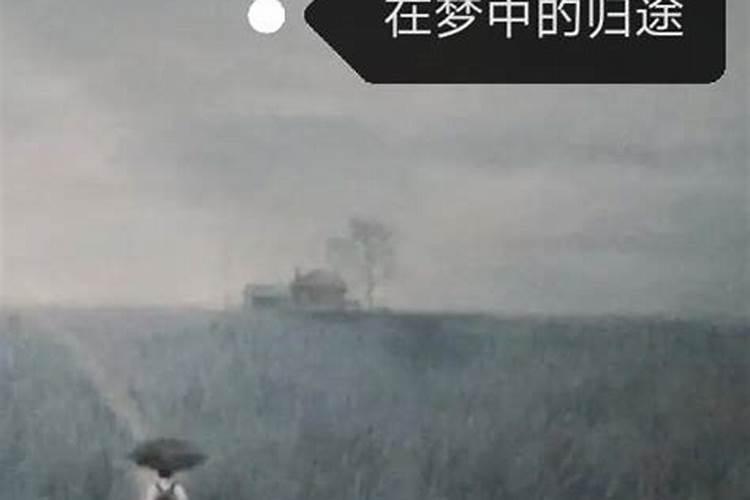 梦寻归途：当回家之路在梦中迷失