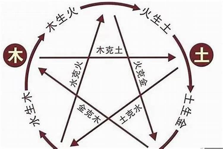 五行木命与什么命合婚：探索八字命理的奥秘？