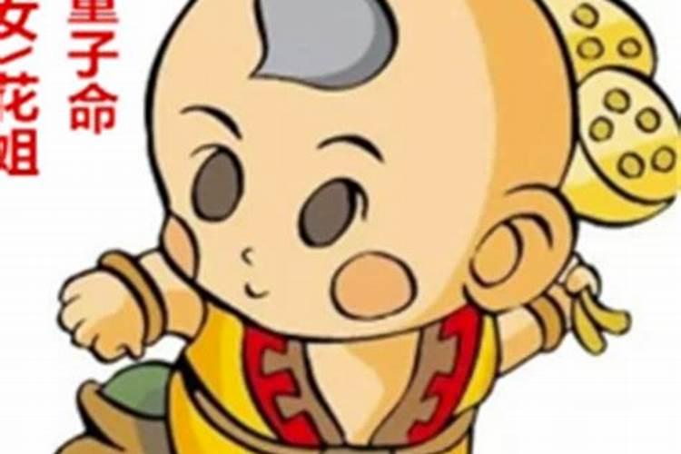童子命就很不好吗？