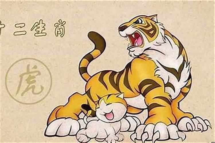 属虎的本命年注意什么属相女？