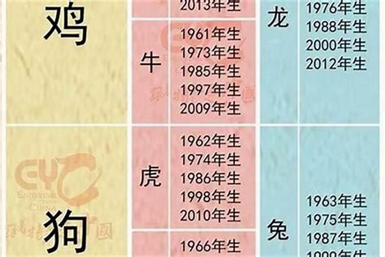 属鸡的三合贵人是什么属相呢？
