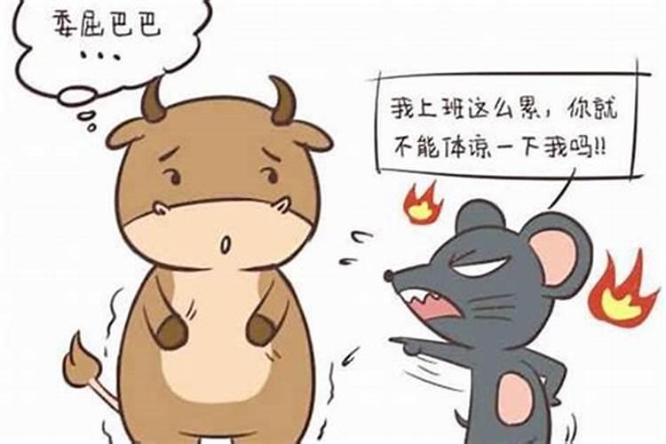 女属鼠男属虎八字合吗？