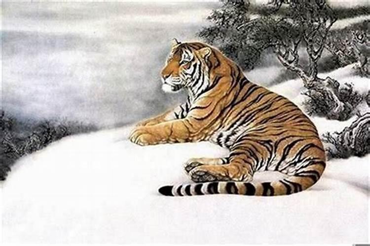2024年属虎犯太岁吗怎么办？