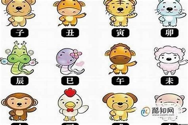 35年属于什么生肖？