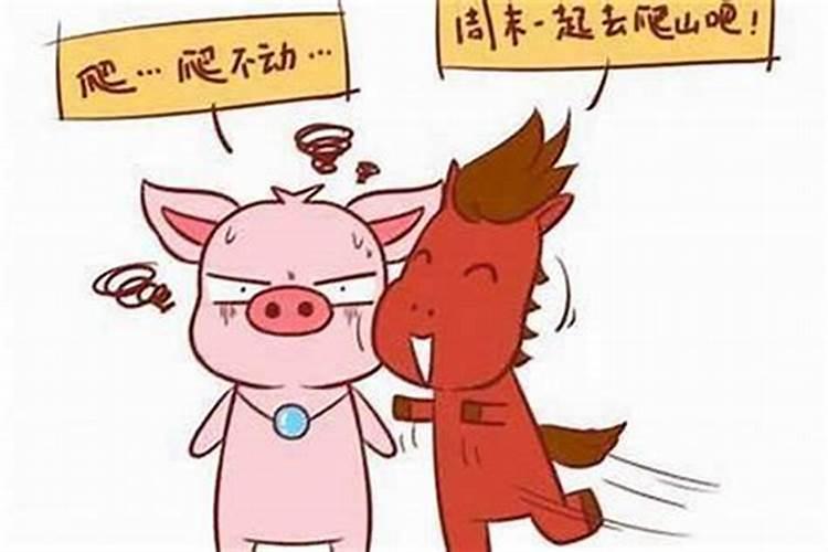 属相婚配猪和马相配吗？