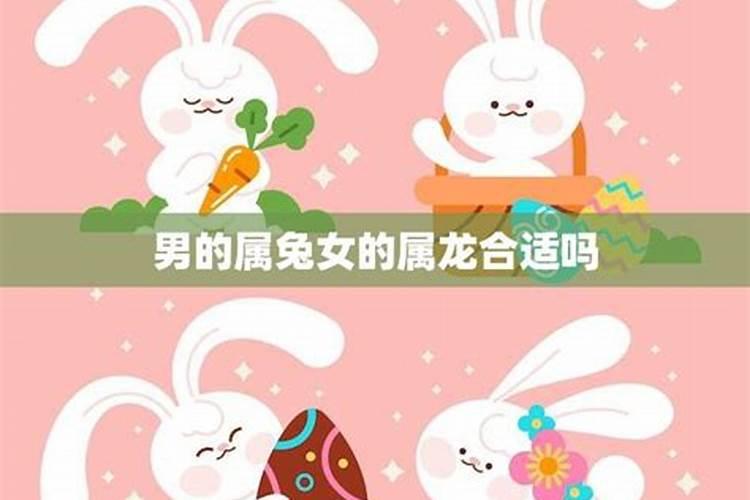 兔虎相配：解析女兔男虎属相婚配的奥秘