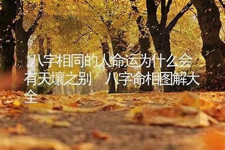 命运的轮廓：命理学视角下的可塑性探讨