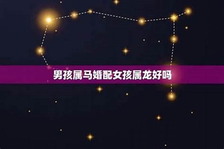 女的属龙男的属马合婚吗？