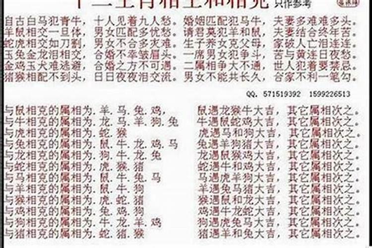 属龙和属狗的合婚吗？